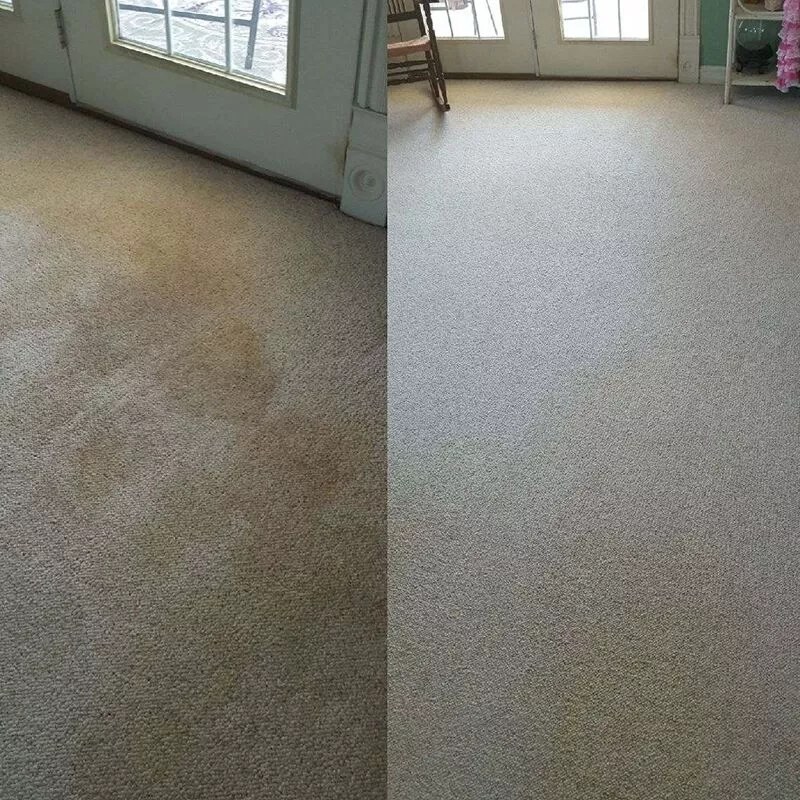 stain resistant rug