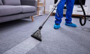 Cleaning carpet professionally area rug cleaning