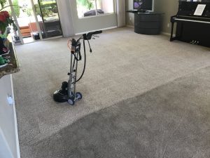 carpet cleaning in las vegas