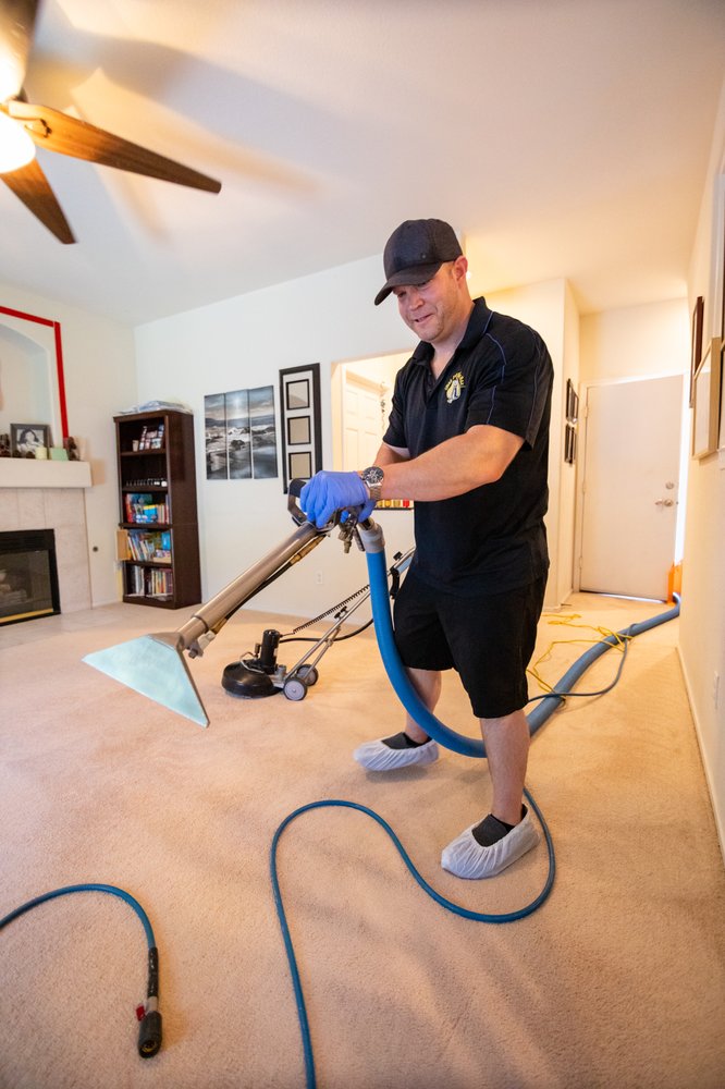professional carpet cleaning henderson and las vegas