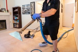 professional henderson carpet cleaning