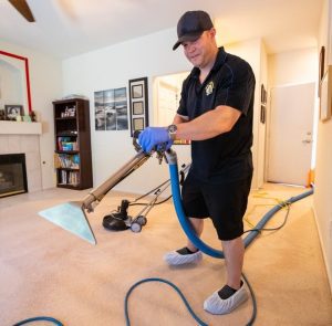 professional carpet cleaners in henderson