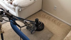 steam carpet cleaning and dry carpet cleaning
