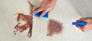 coffee stains out of carpet