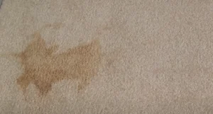 old coffee stain