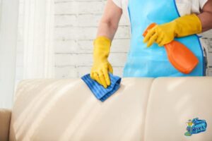 professionally remove stains from leather couch