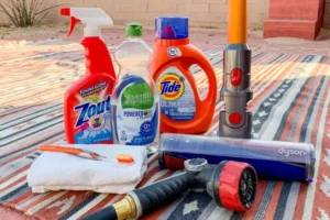Clean an Area Rug with a Carpet Cleaner