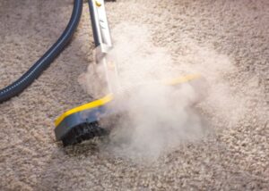 Will Professional Carpet Cleaning Remove Pet Odors