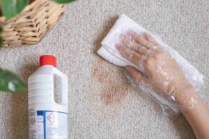 apply dry cleaning solution on carpet
