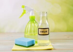 DIY Vinegar and Water Solution