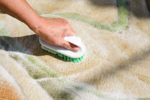 Shampooing Carpet