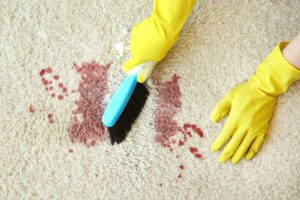 Old Blood Stains From Carpet
