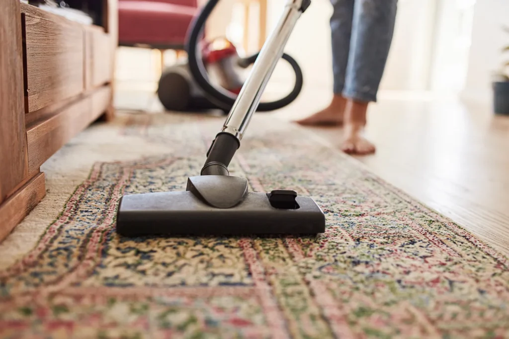 how professionals clean area rug