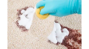 carpet stain cleaning 