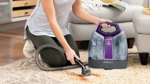 Portable extractor